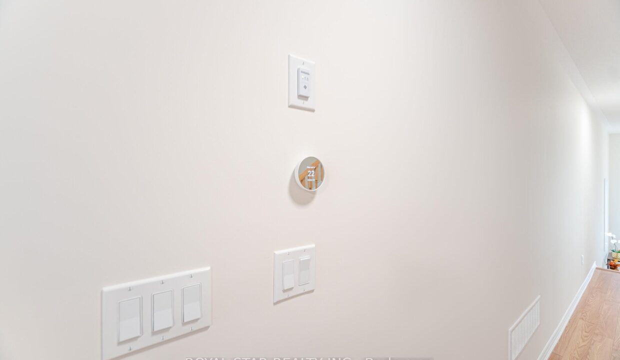 c78a0113-2e53-4875-ab7e-1fdfae76da51-l.jpeg